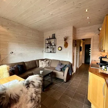 Apartmán Cozy Near Alpine And Trails In Sirdal Sinnes