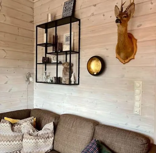 Apartment Cozy Near Alpine And Trails In Sirdal