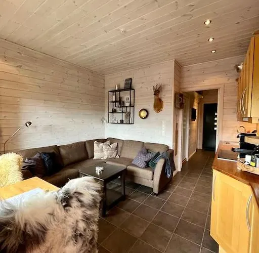 Apartment Cozy Near Alpine And Trails In Sirdal Sinnes